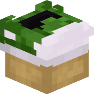 Converse Shoe (green)