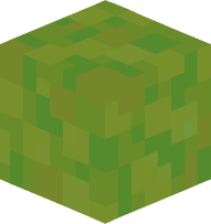 Slime Block