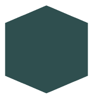 Dark slate gray (#2F4F4F)