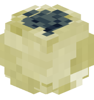 Limestone Fossil (Shell)