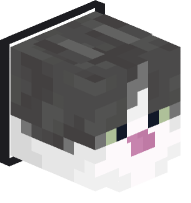 Collared Jellie Cat (black)