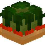 Growing Carrots (light earth)