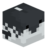 Tropical Fish (triggerfish)