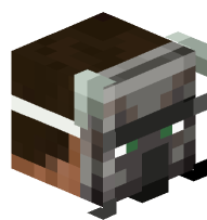 Man with Ravager Mask