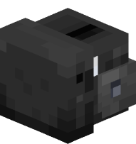 Polaroid Camera (black)