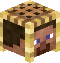 Steve inside of Scaffolding