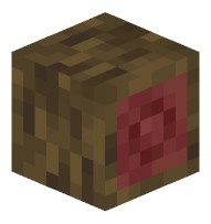 Mangrove Log (sideways)