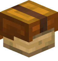 Leather Helmet (orange)