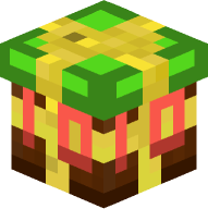 Present (10 Years of Minecraft)