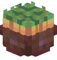 Basket with Potatoes