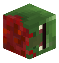 Decapitated Zombie Villager
