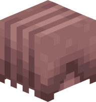 Armadillo (body, old design)