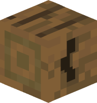 Spruce Curly Bracket (open)