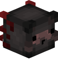 Person in Axolotl Costume