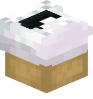 Converse Shoe (white)