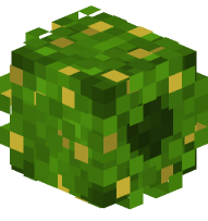 Wreath (Christmas, Lights)