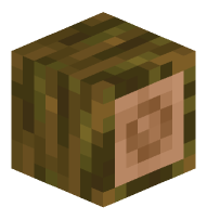 Jungle Log (sideways)