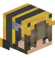 Boy with Bee Costume