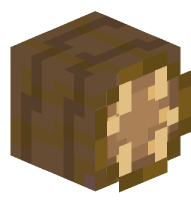 Subterranean Cockroach