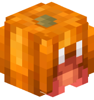 Hermit Crab in a Pumpkin