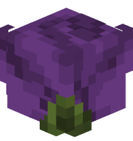 Dusty Dark Purple Rose