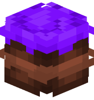 Purple Chocolate Cake