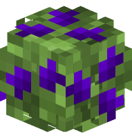 Dark Purple Hydrangea