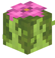 Spore Blossom Bishop