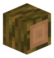 Jungle Log (sideways)