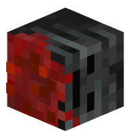 Decapitated Witherskeleton