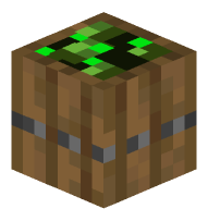 Barrel (Wheat Seeds)