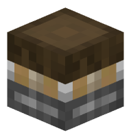 Piston with Log