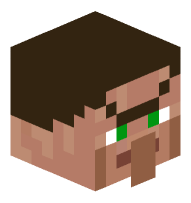Villager Bandit