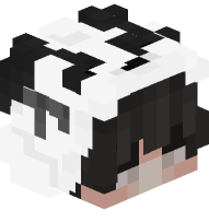 Boy with Panda Costume