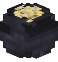 Shale Fossil (Shell)