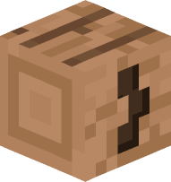 Jungle Curly Bracket (closed)