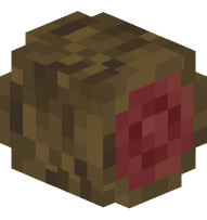 Mangrove Log (rounded, sideways)