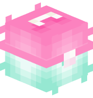 Pink and Mint Caboodle