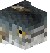 Fish (head)