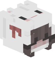 Girl with Bunny Costume