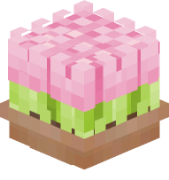 Potted Tulips (Pink)