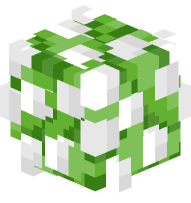 Lilies of the Valley