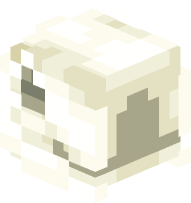 Horse Skull (back half)