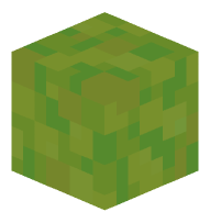 Slime Block