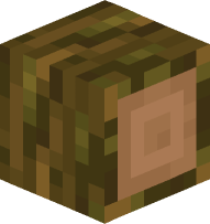 Jungle Log (sideways)