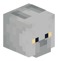 Cat (british short hair)