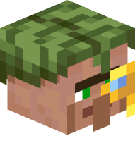 Cartographer Villager