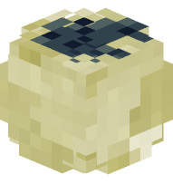 Limestone Fossil (Dinosaur Skull)