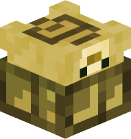 Desert Tortoise (stuck on back)