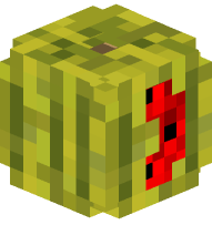 Watermelon Round Bracket (closed)